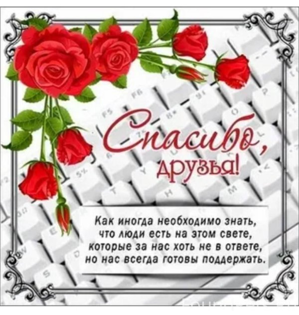 слова благодарности друзьям