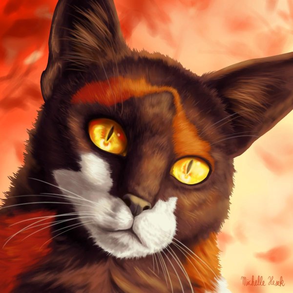 коты воители сол