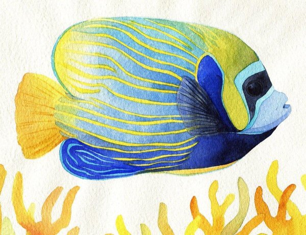 рисунок рыб