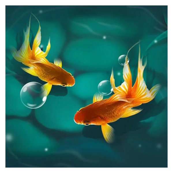 живые рыбки