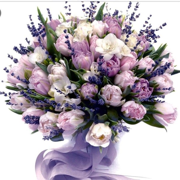 пионовидные тюльпаны сиреневые