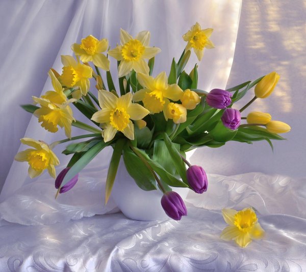 весенний натюрморт