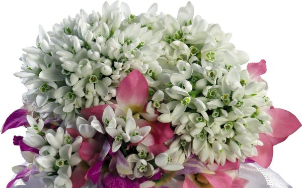 весенние букеты