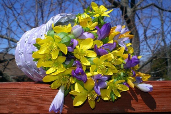 весенние выходные