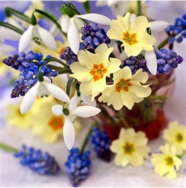 букет весенних цветов