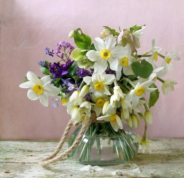 марина филатова фотонатюрморт