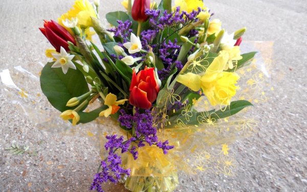 тюльпаны нарциссы и мимозы