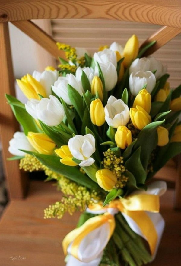 тюльпаны нарциссы и мимозы