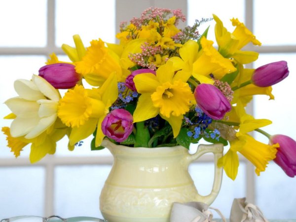 тюльпаны мимоза