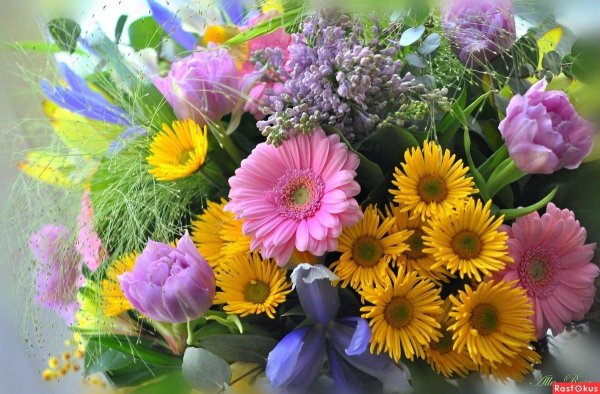 цветы красивые букеты