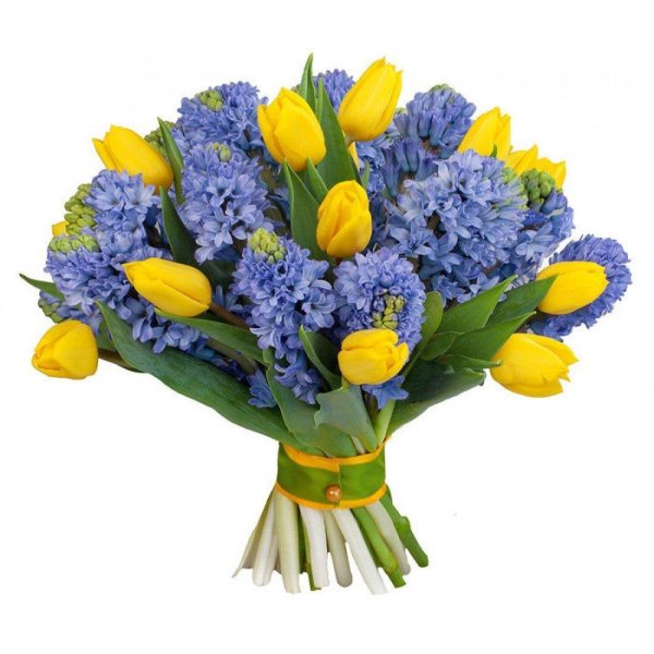 гиацинт букет