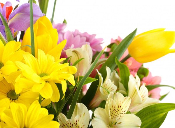 весенние букеты