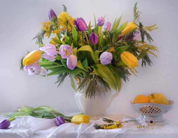 натюрморт тюльпаны