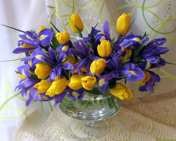 тюльпаны крокусы гиацинты