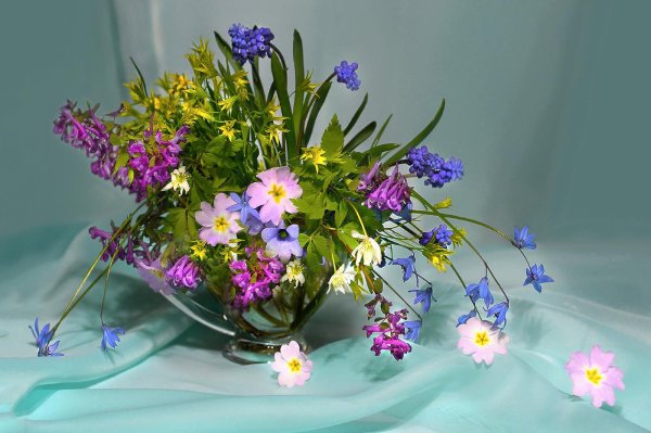 букет весенних цветов