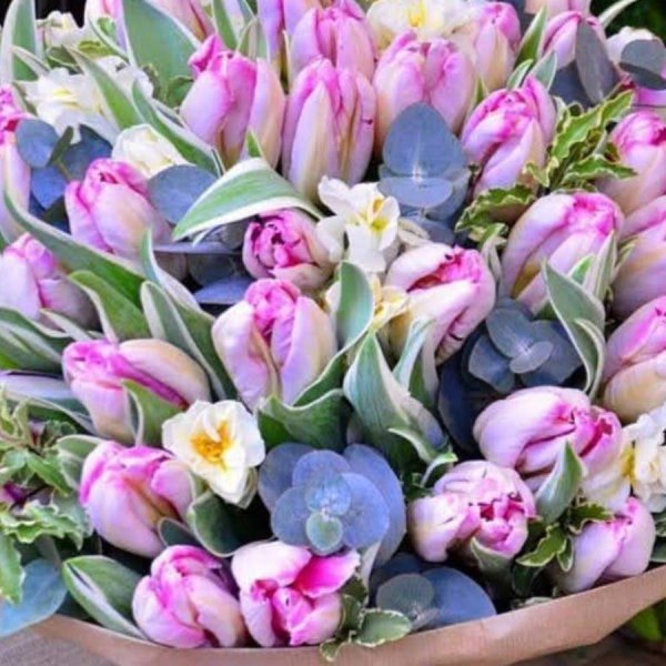 пионовидные тюльпаны