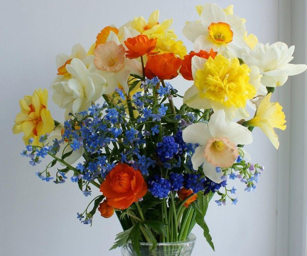 букет из незабудок и нарциссов