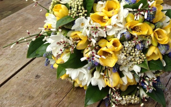 весенний букетик