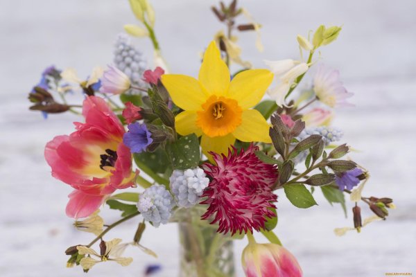 букеты весенних цветов