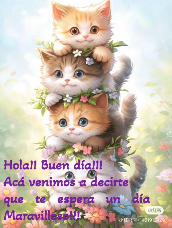 очаровательные котята