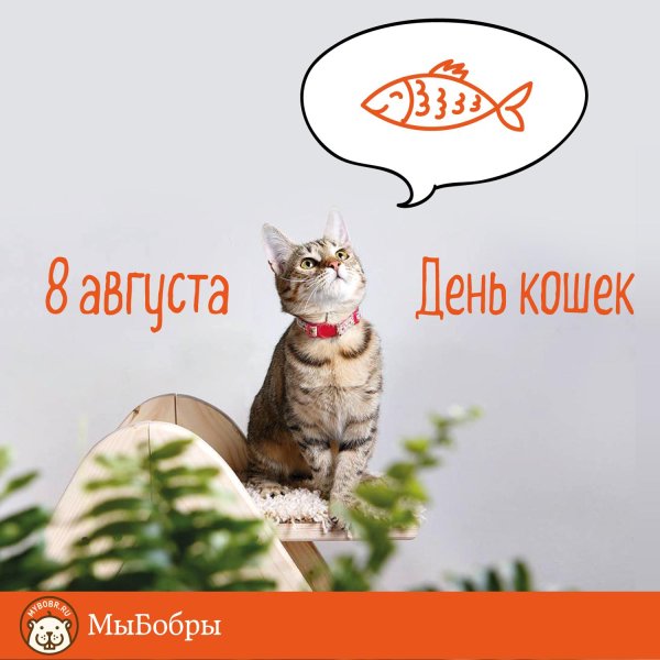 международный день кошек 8 августа