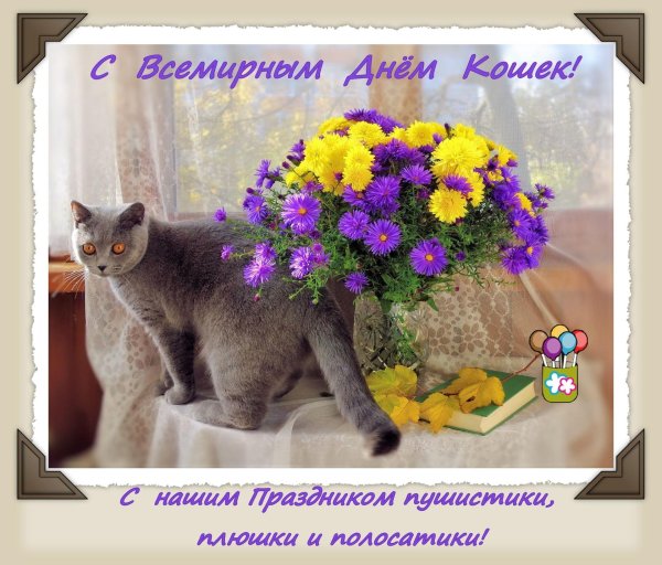 со всемирным днем кошек