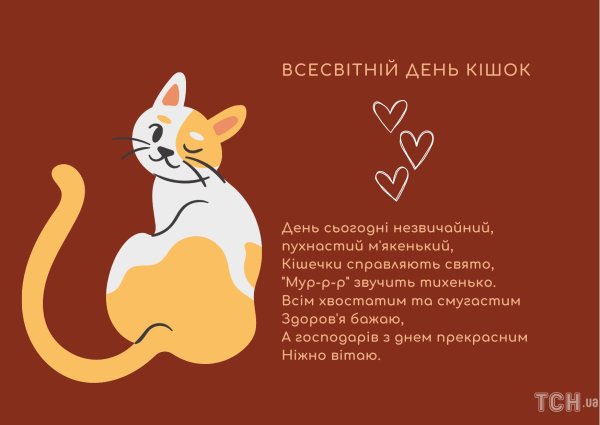 международный день кошек 1 марта