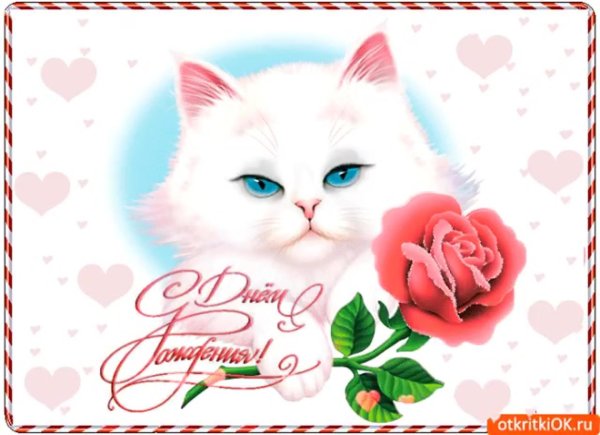 котенок поздравляет с днем рождения