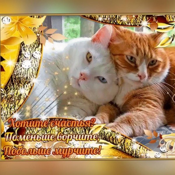 поменьше ворчите побольше мурчите