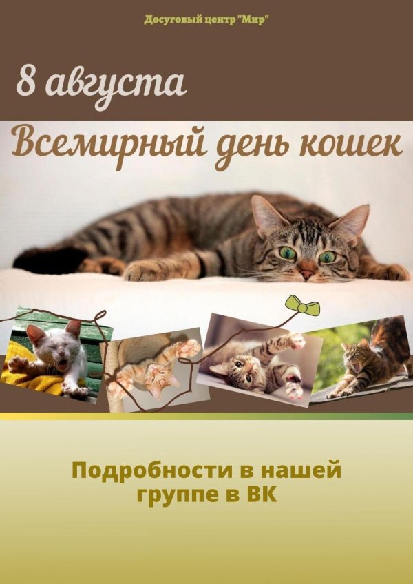 международный день кошек 8 августа