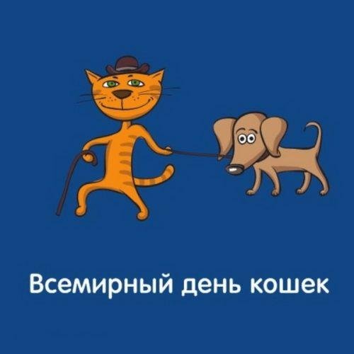 всемирный день кошек