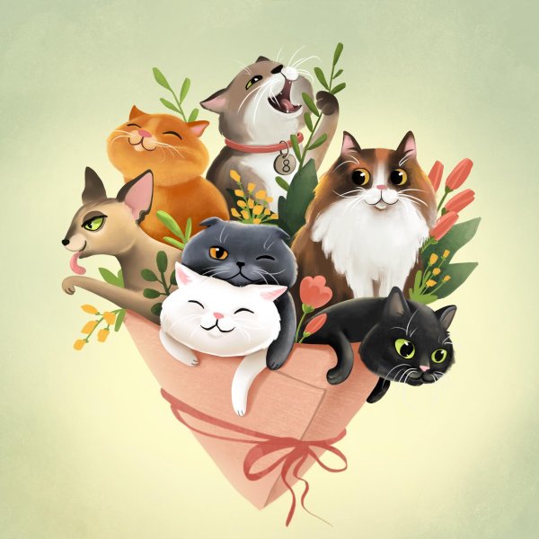 букет котов