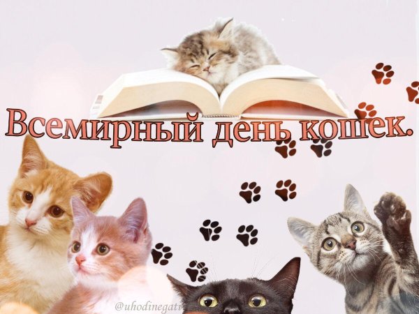 с всемирным днем кошек