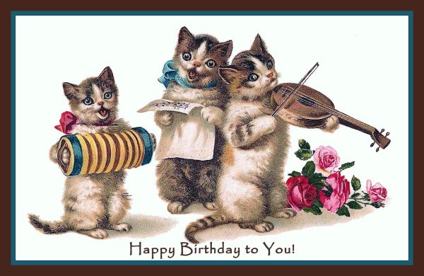 поющие котики