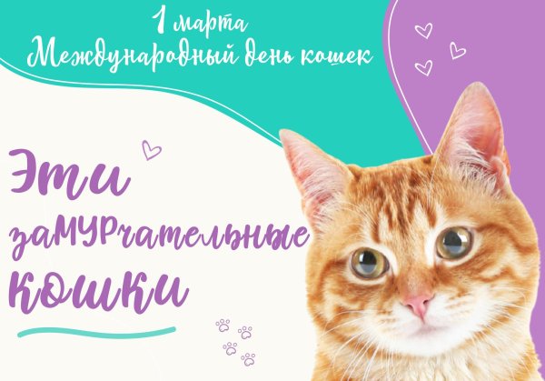 рыжие котики