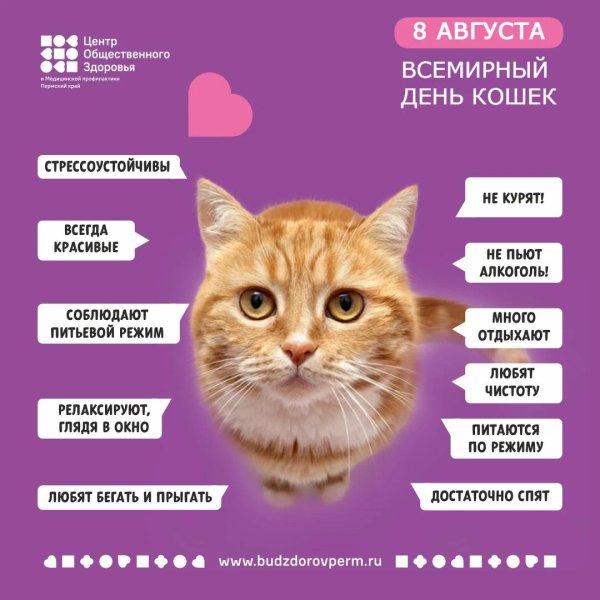 всемирный день кошек 8 августа