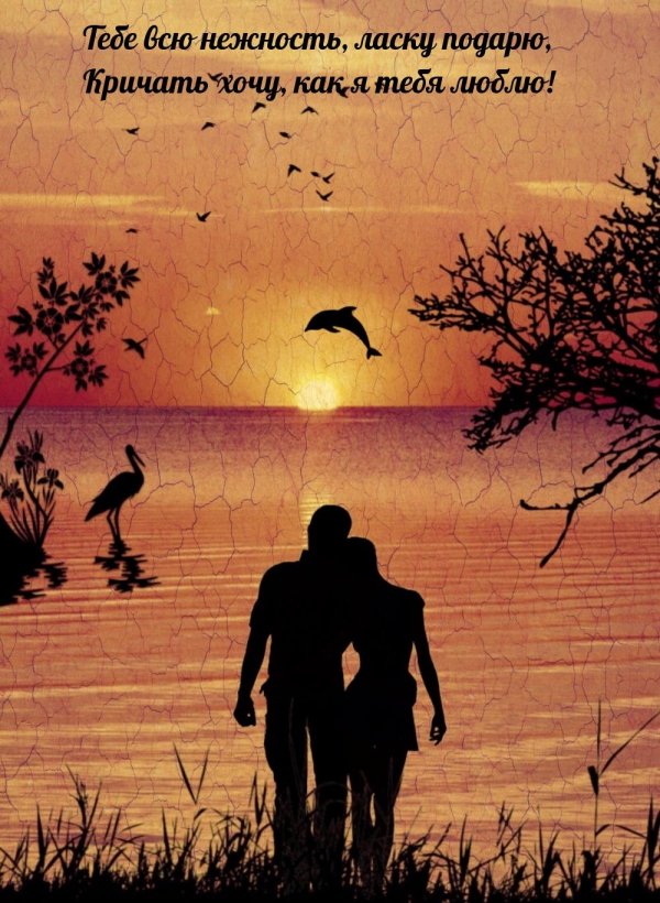 пара на закате