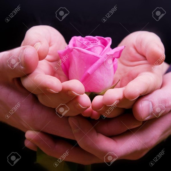 цветок в ладонях