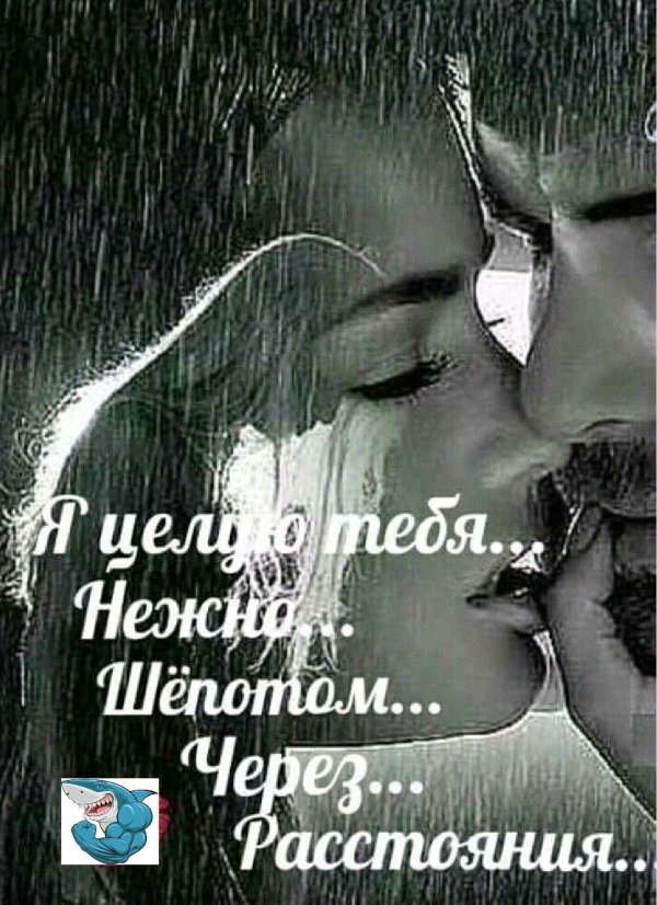 спокойной ночи целую