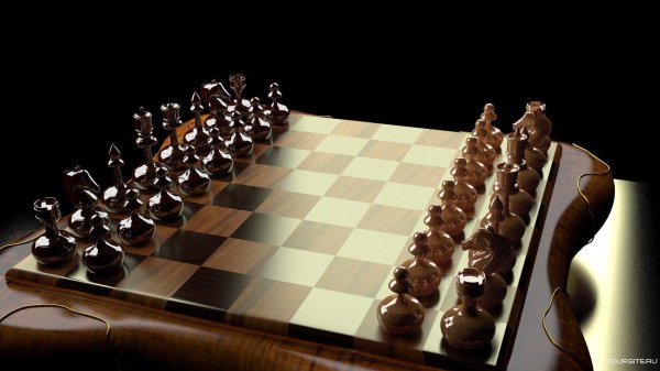 шахматы борк