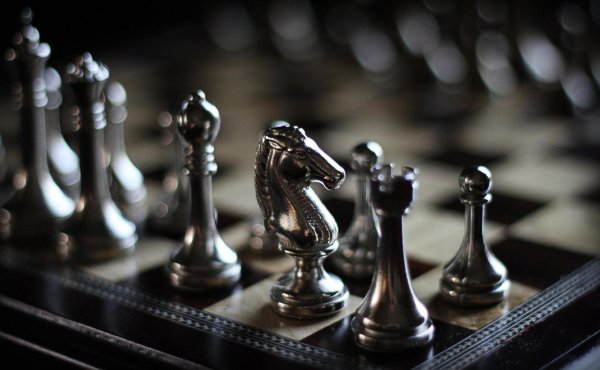 шахматный конь