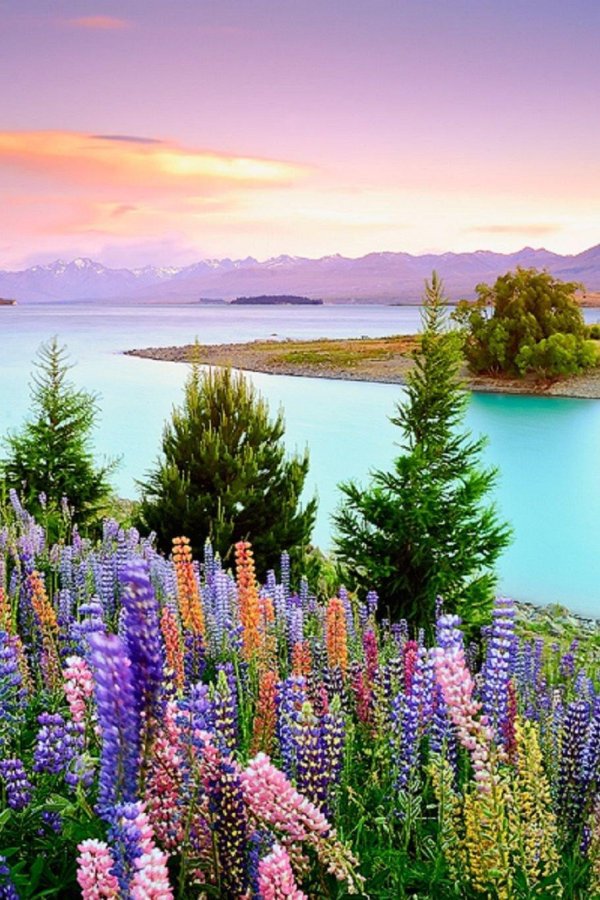 текапо новая зеландия