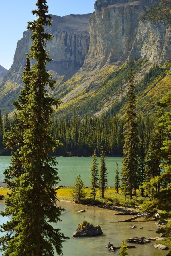 национальный парк джаспер альберта канада