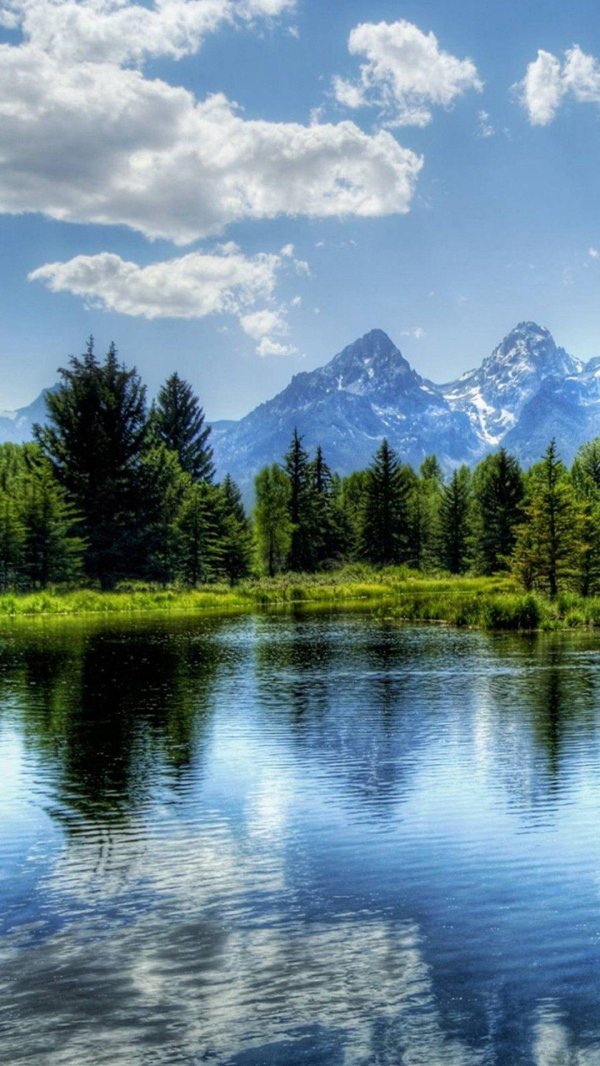 лес горы озеро