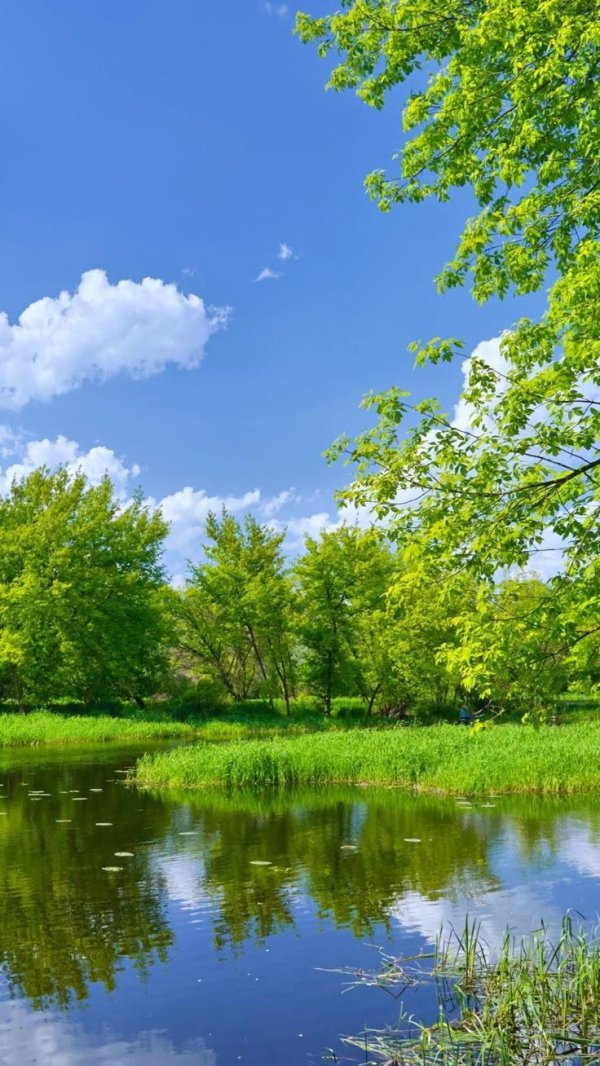 летние пейзажи