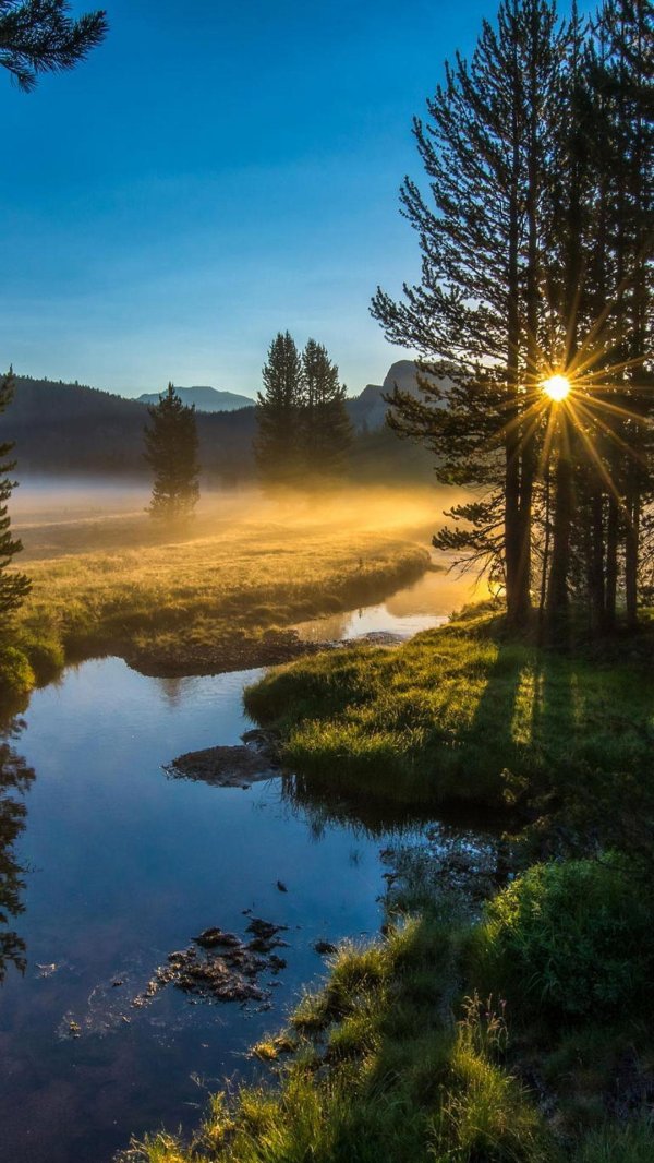 доброе утро пейзажи природы