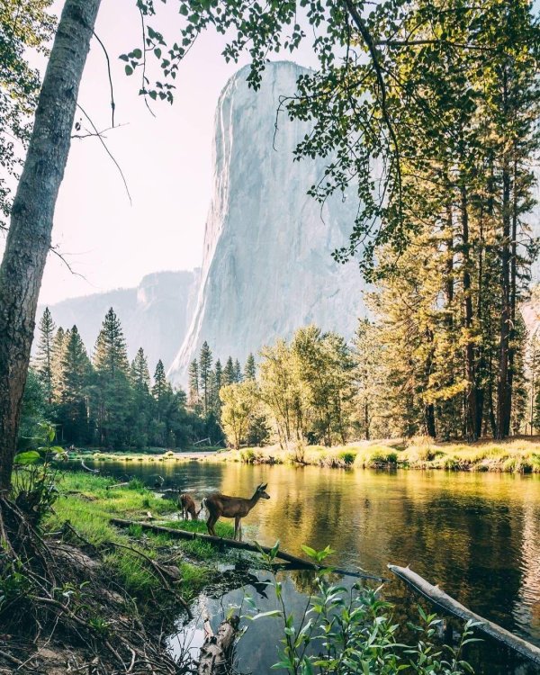 el capitan yosemite