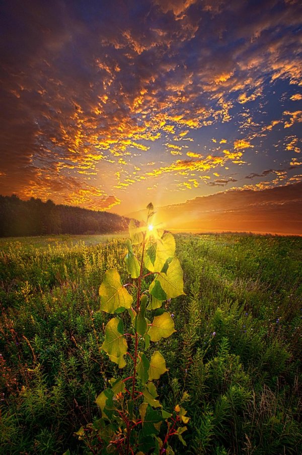 закат пейзаж