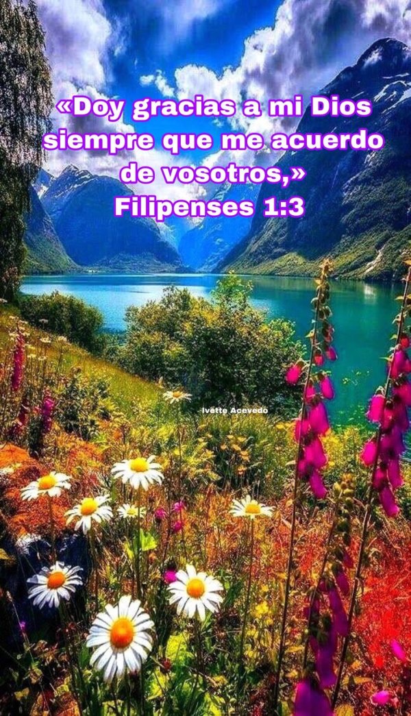 красота природа