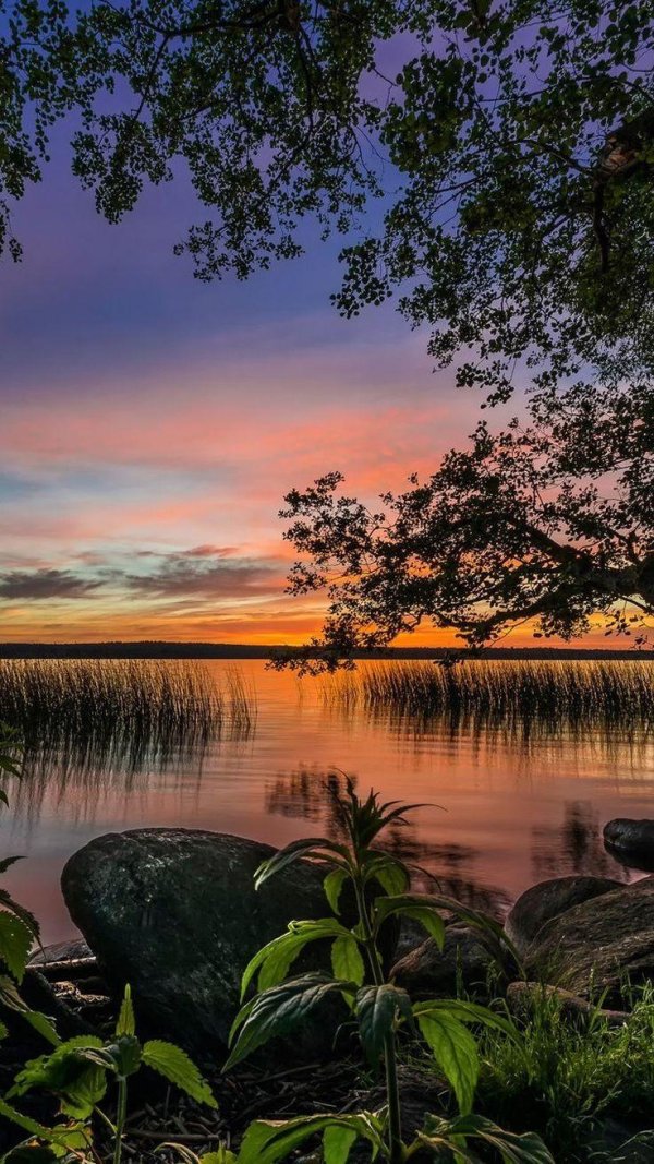 природа закат